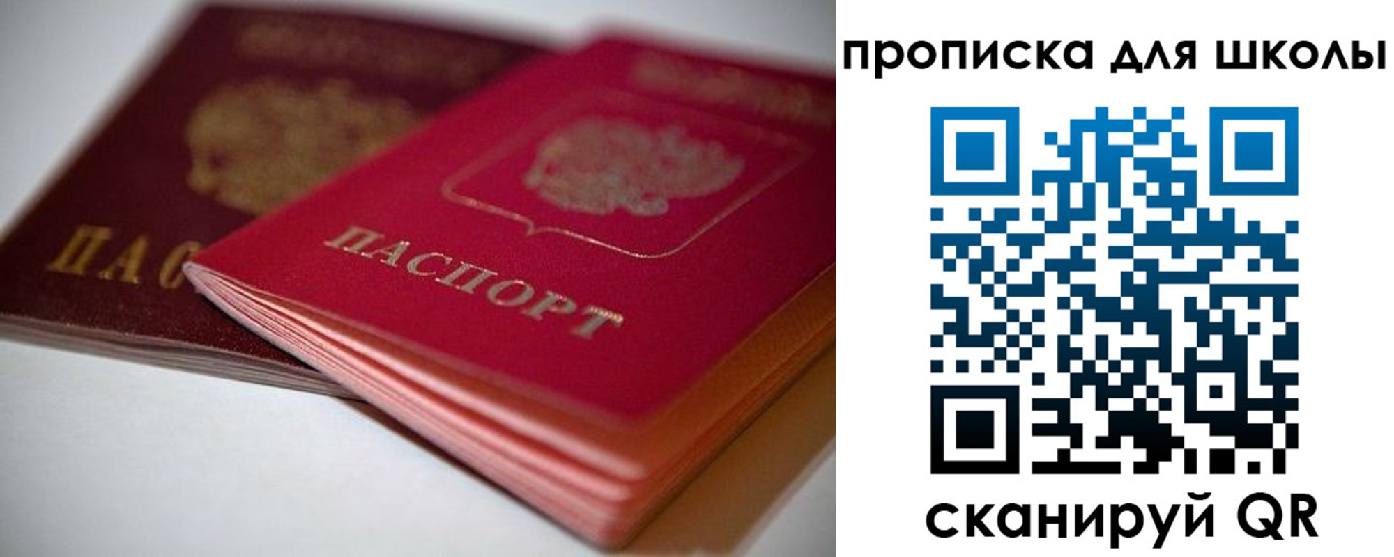 прописка для школы в Черепаново